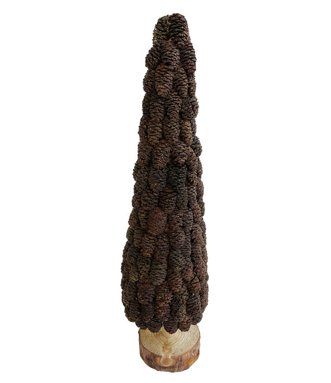 Alnus cone tree wooden base - natural