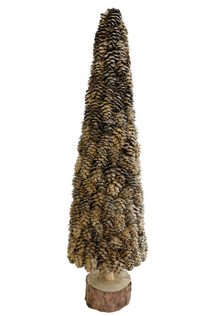 Larix cone tree wooden base - natural