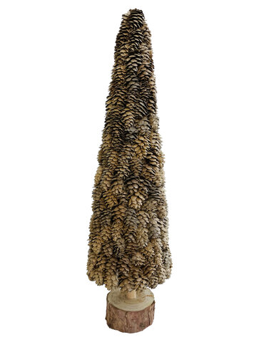 Larix cone tree wooden base - natural