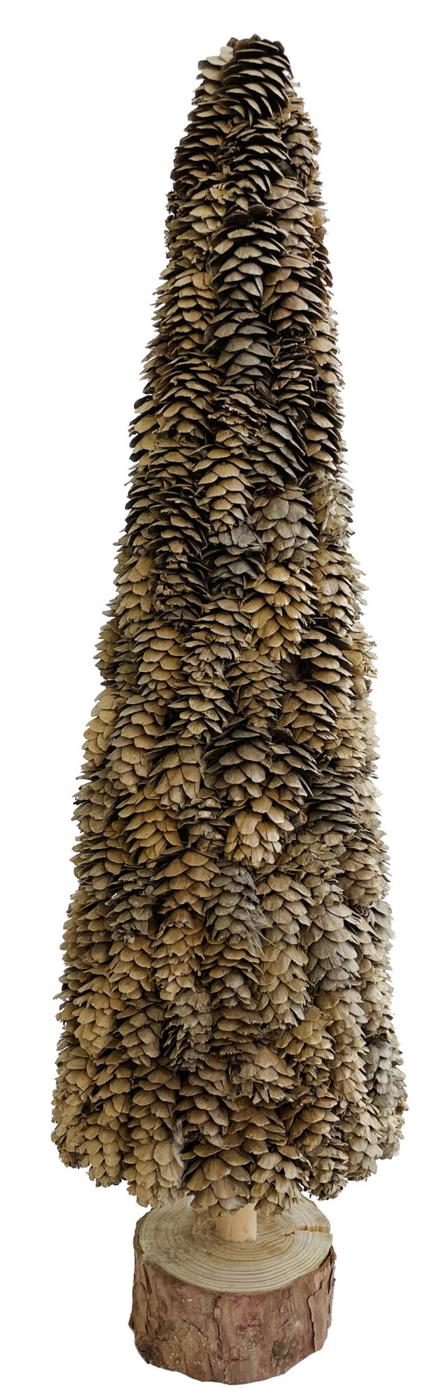 Larix cone tree wooden base - natural