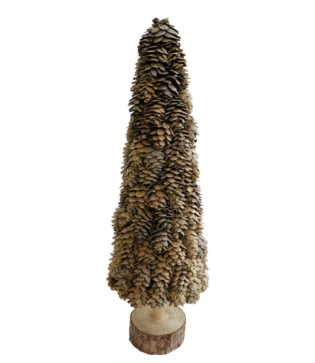 Larix cone tree wooden base - natural