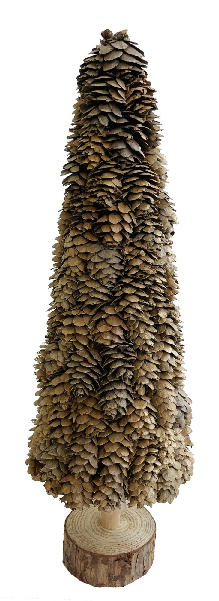 Larix cone tree wooden base - natural