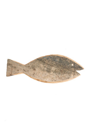 Fish Lamu #381