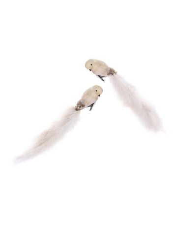 Vogel met clip en struisvogelstaart - crème