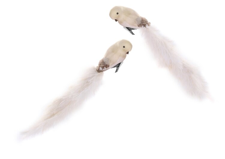 Bird with clip and ostrich tail - cream