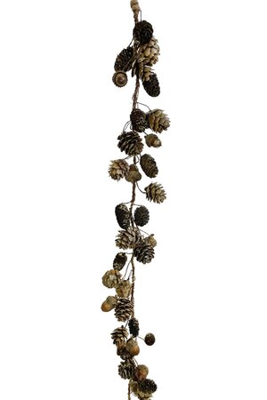 Garland with larix, alnus & acorn - natural/gold