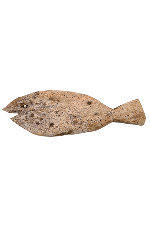 Fish Lamu #430
