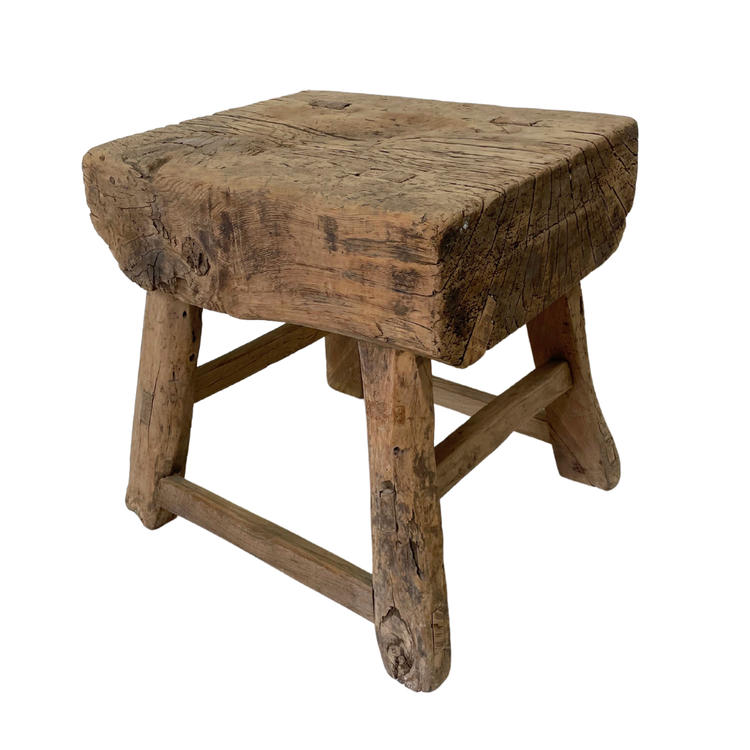 Zeer dikke robuuste kruk olm