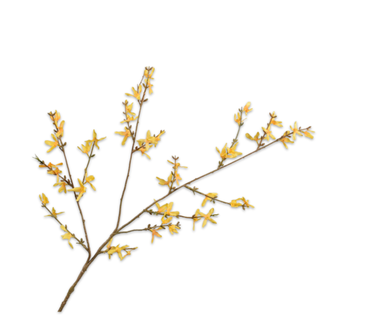 Silk-ka Forsythia tak geel 89 cm