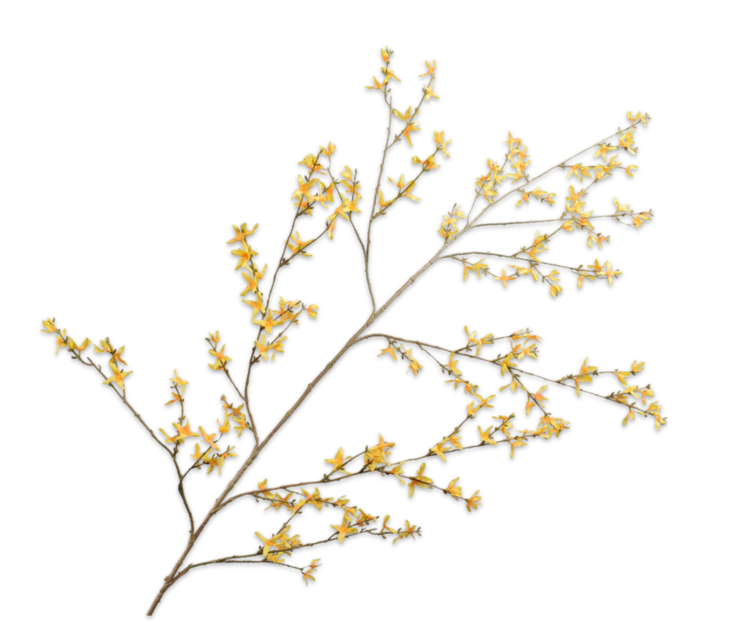 Silk-ka Forsythia tak geel 167 cm