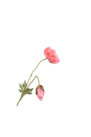 Silk-ka Klaproos tak roze 68 cm