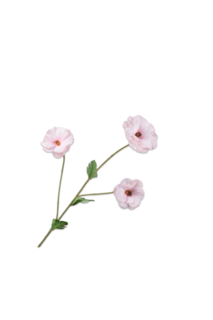 Silk-ka Ranonkel tak roze 61 cm