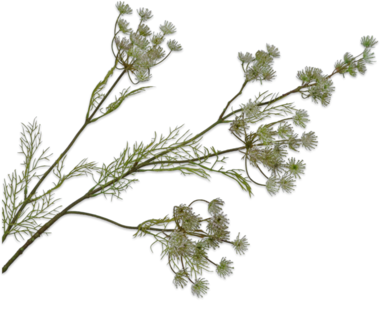 Silk-ka Dille tak roze/groen 120 cm