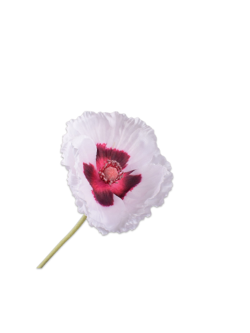 Silk-ka Poppy stem white 73 cm