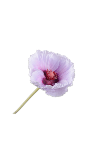 Silk-ka Poppy stem purple 73 cm