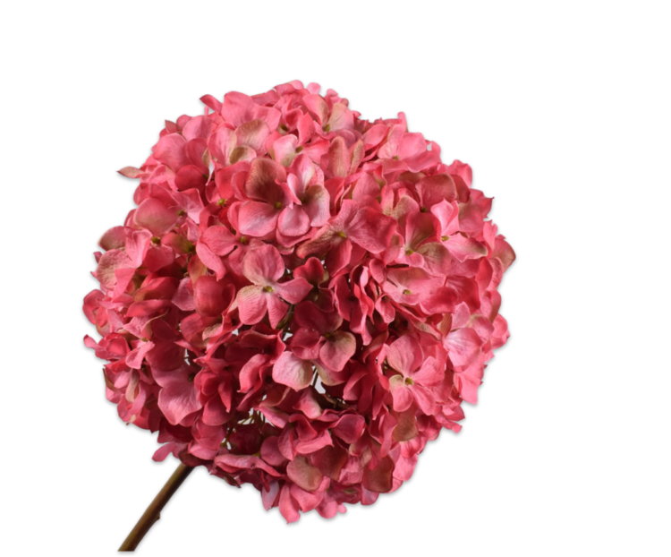 Silk-ka Hortensia steel roze 79 cm