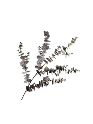 Silk-ka Eucalyptus spray grey 143 cm