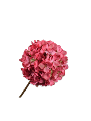 Silk-ka Hydrangea stem beauty 70 cm