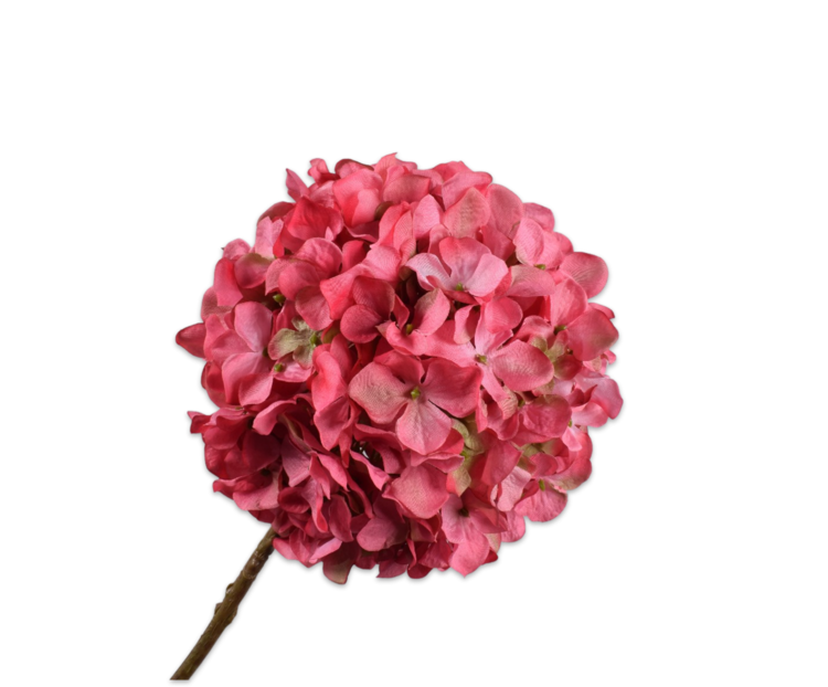 Silk-ka Hortensia steel beauty 70 cm