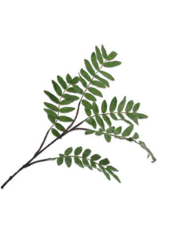 Silk-ka Fern spray green 120 cm