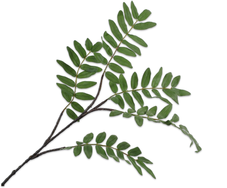 Silk-ka Varen tak groen 120 cm