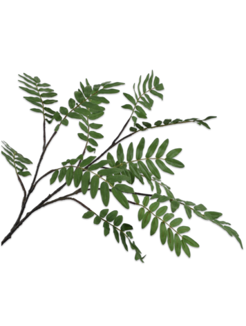 Silk-ka Fern spray green 150 cm