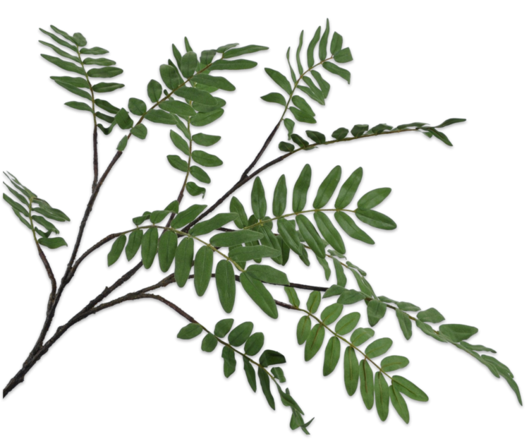 Silk-ka Varen tak groen 150 cm