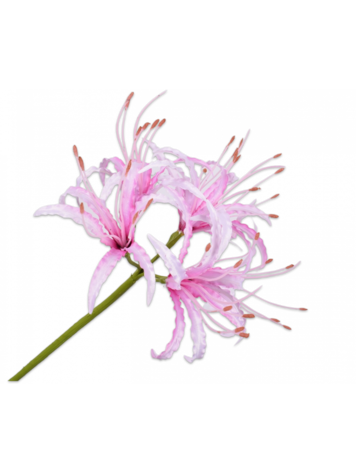 Silk-ka Nerine stem pink 90 cm