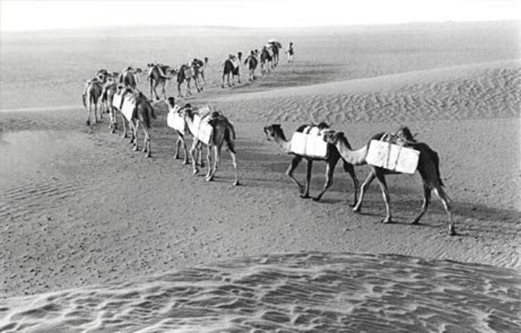 Oude zoutplaat op voet - Taoudenni