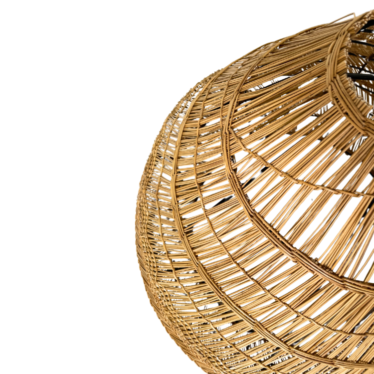 Suspension seagrass 'Zarbout'