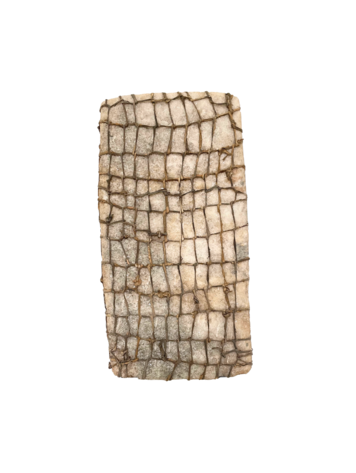 Old salt plate on base - Taoudenni