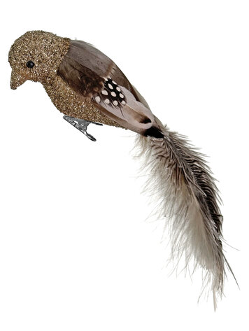 Vogel met clip - struisvogel staart - bruin/goud
