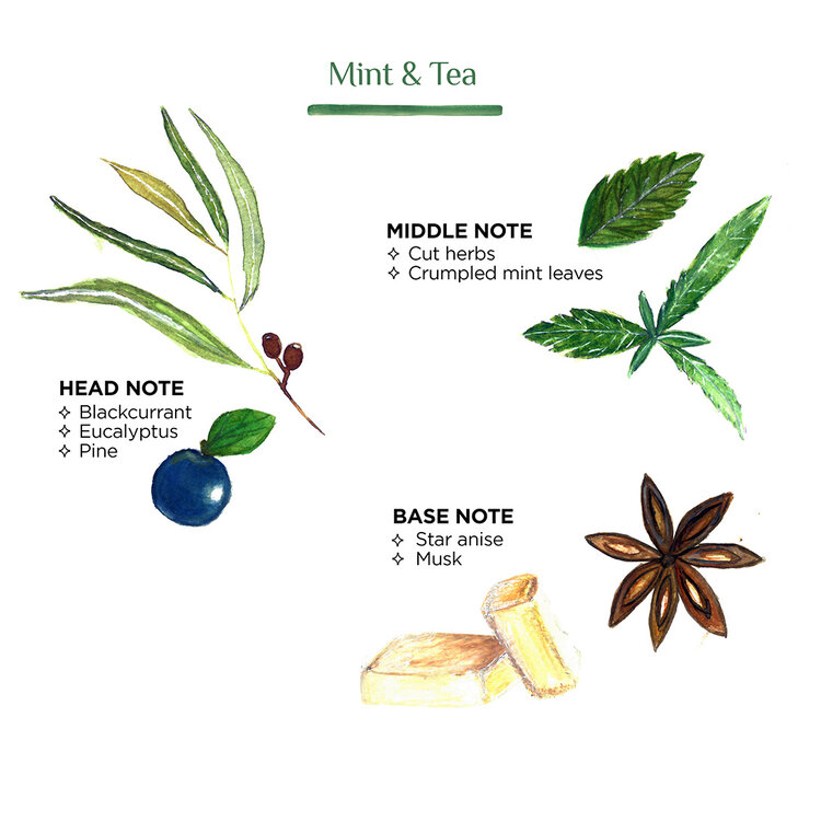 Geurkaars tamegroute coupe - mint & tea