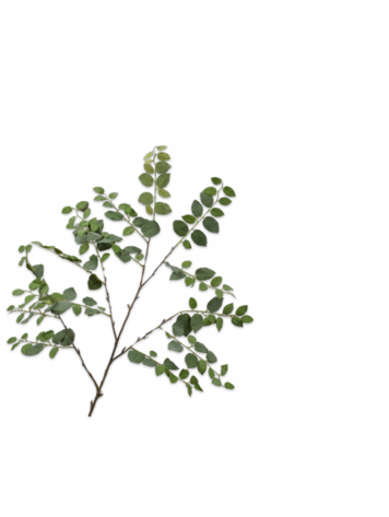 Silk-ka Leaf Spray Green L