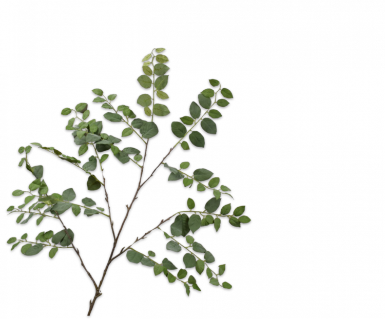 Silk-ka Leaf Spray Green L