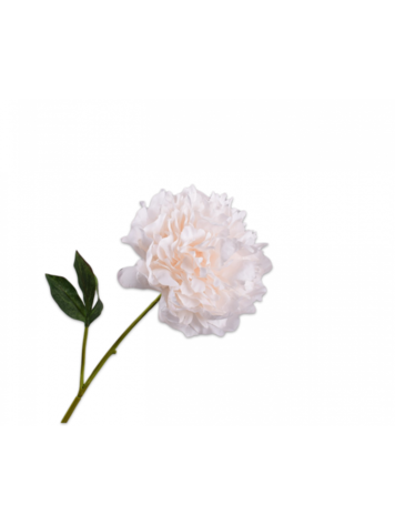 Silk-ka Peony Stem CR/ORG RT