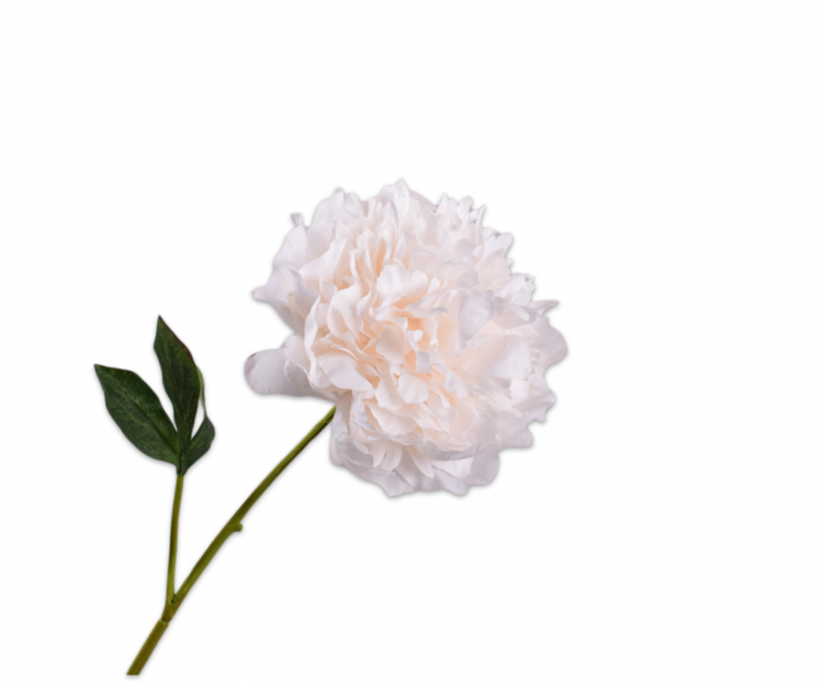 Silk-ka Peony Stem CR/ORG RT