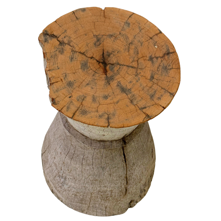 Vijzel Kruk Tonga #19