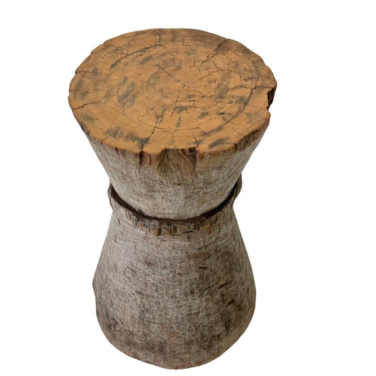 Vijzel Kruk Tonga #22