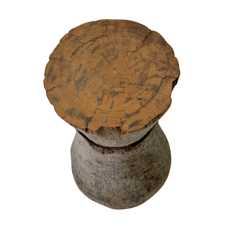 Vijzel Kruk Tonga #22