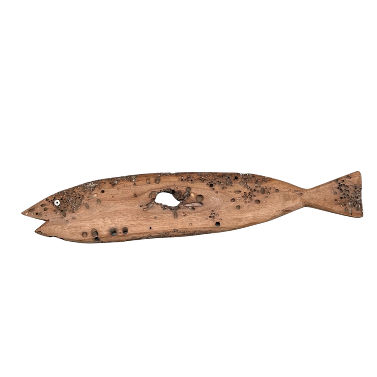 Fish Lamu #576