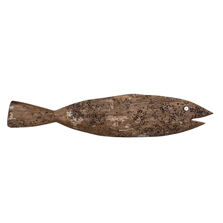 Fish Lamu #575