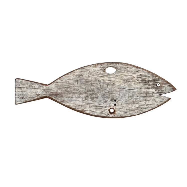 Fish Lamu #569