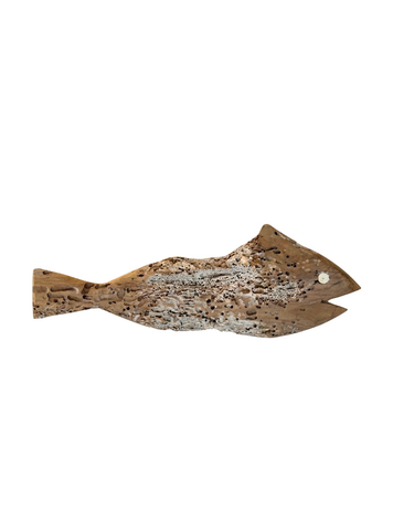 Vis Lamu #658