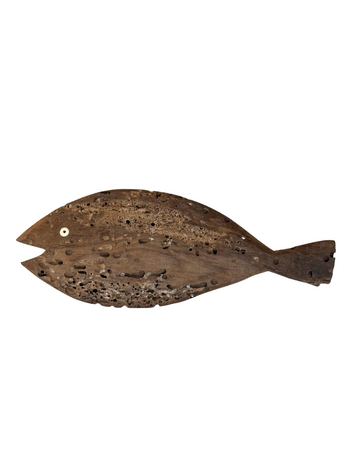 Fish Lamu #657