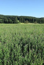 Semhof Bio Luzernepellets (Organic alfalfa Pellets) Topline low sugar
