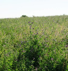 AUSVERKAUFT - Semhof Bio Luzernepellets Medium