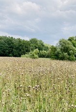 Semhof organic milk thistle