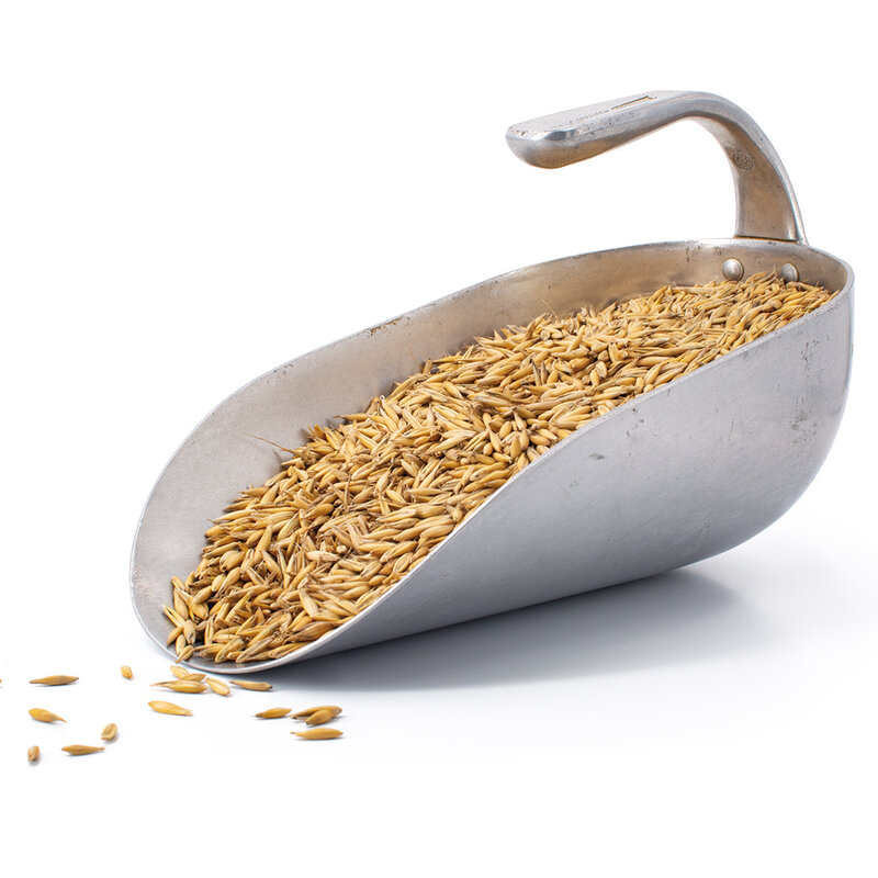 Semhof Bio Hafer Gold