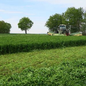 Semhof Bio Luzernepellets Turbo/Topline